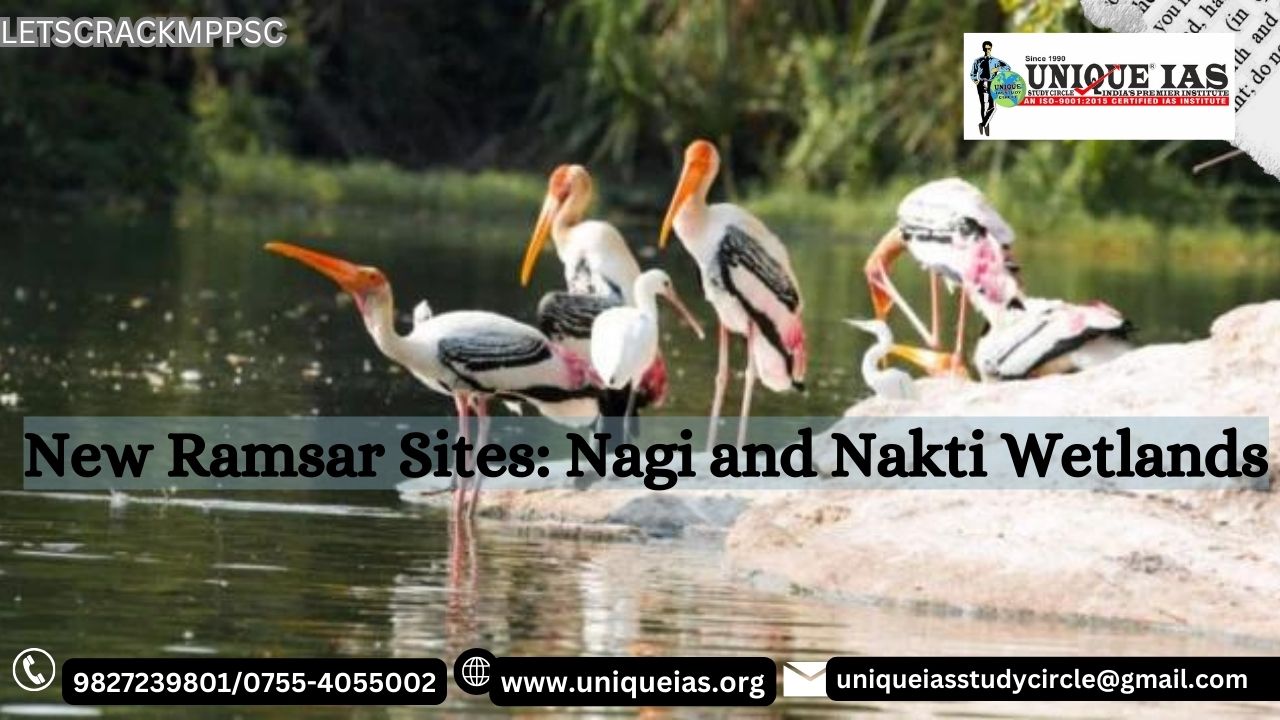 New Ramsar Sites: Nagi and Nakti Wetlands