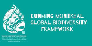 Kunming-Montreal Global Biodiversity Framework (KMGBF)