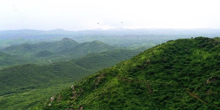 GREEN WALL @ ARAVALLIS